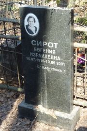 Сирот Евгения Израилевна, Москва, Востряковское кладбище